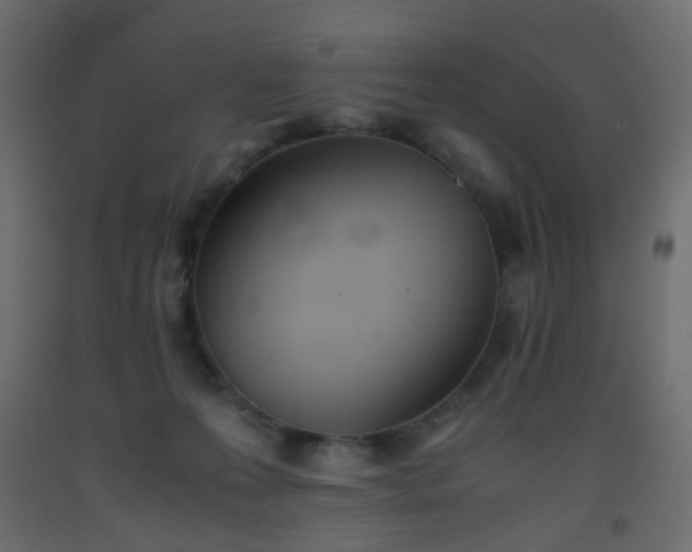 X0000093390223200710111521