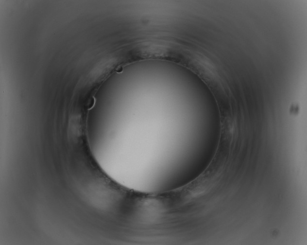 X0000093390224200710111521