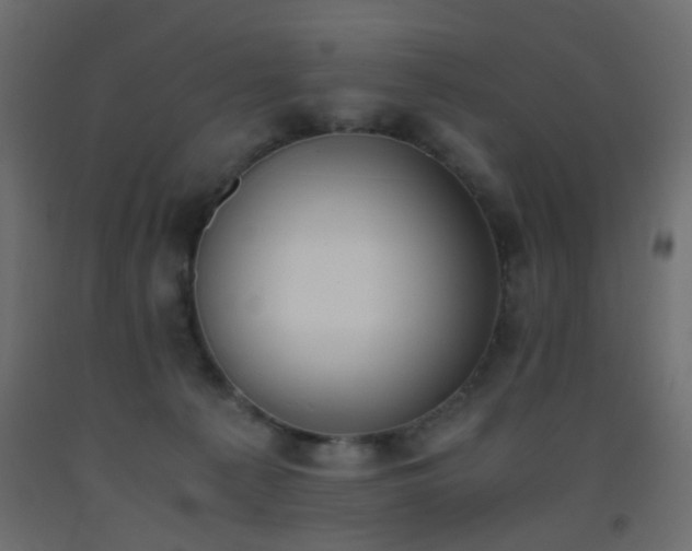 X0000093390225200710111521