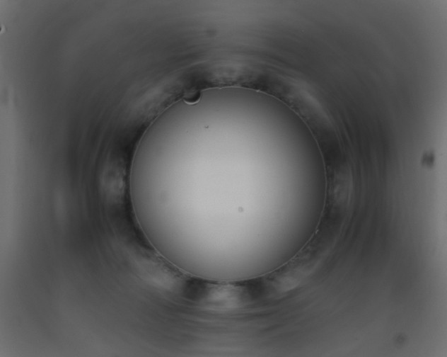 X0000093390226200710111521