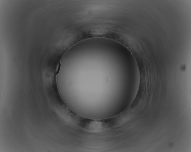 X0000093390227200710111521