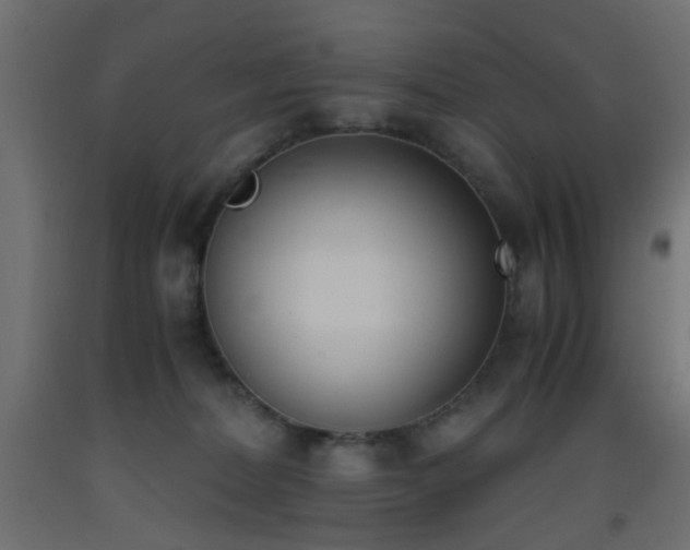 X0000093390228200710111521