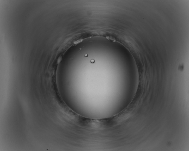 X0000093390229200710111521