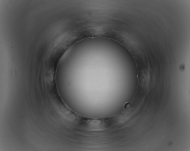 X0000093390230200710111521