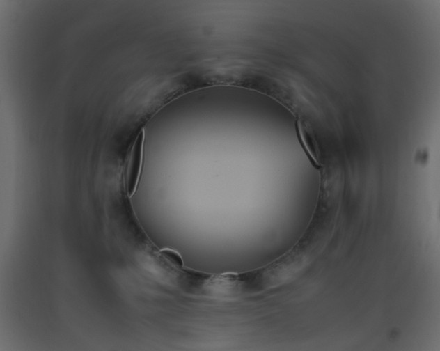 X0000093390231200710111521