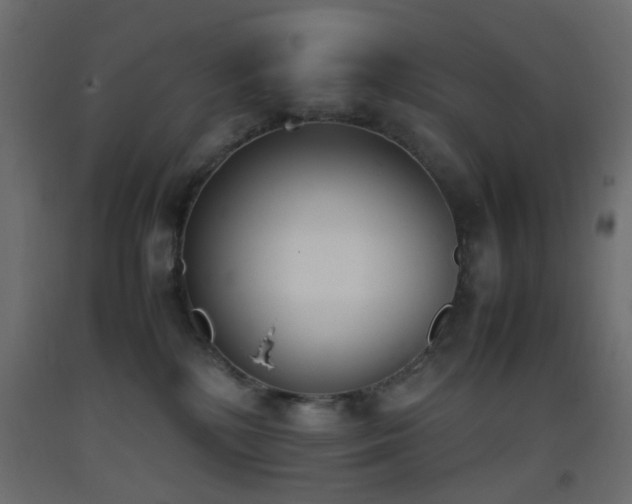 X0000093390232200710111521