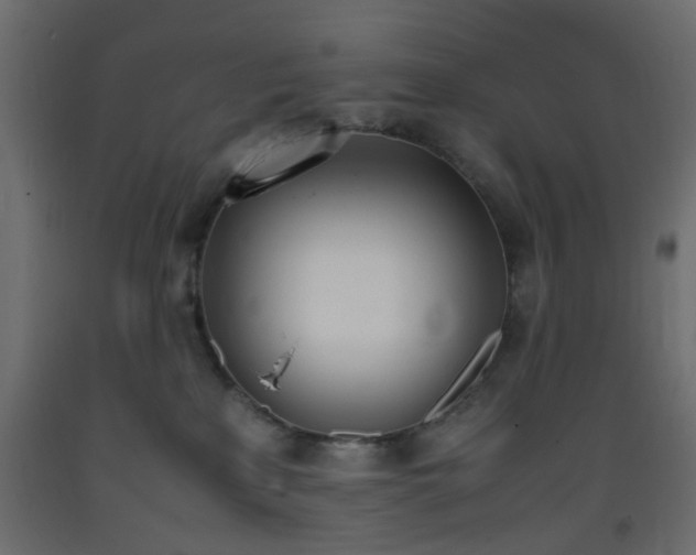 X0000093390233200710111521