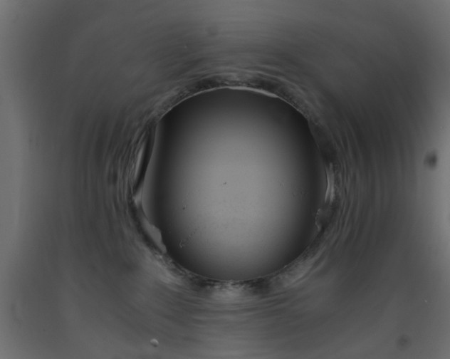 X0000093390235200710111521