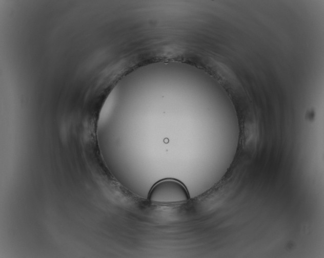 X0000093390236200710111521