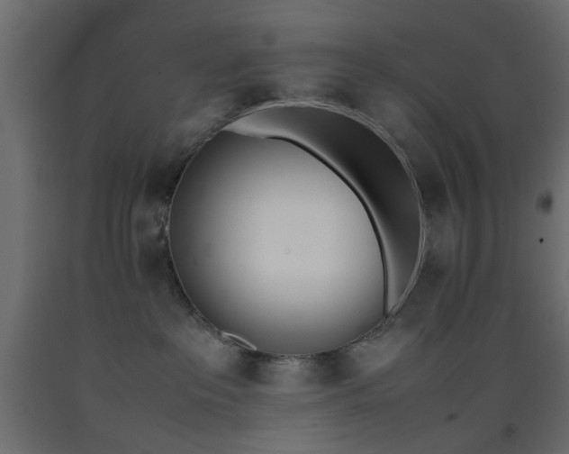 X0000093390237200710111521