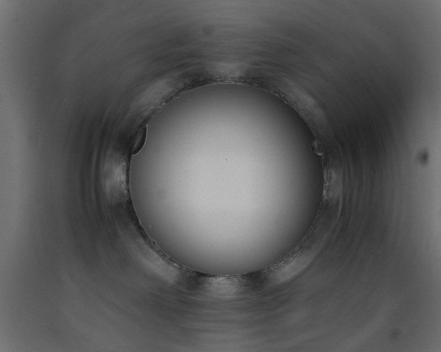 X0000093390238200710111521