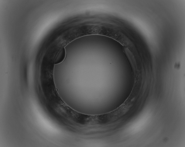 X0000093390239200710111521