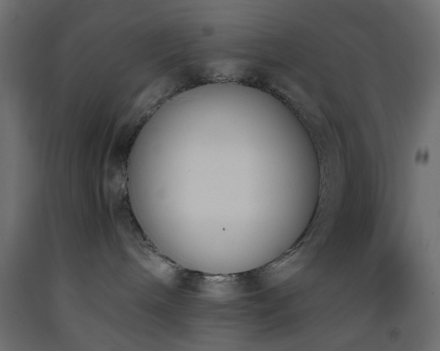 X0000093390240200710111521