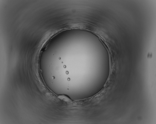 X0000093390241200710111520