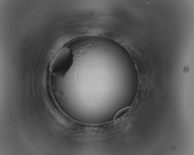 X0000093390242200710111520