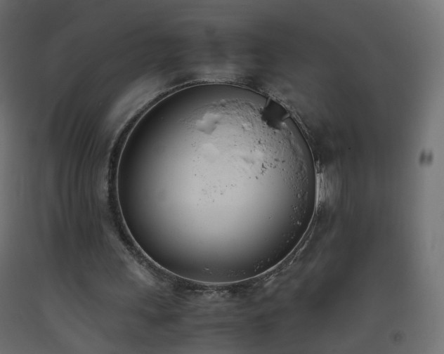 X0000093390243200710111520