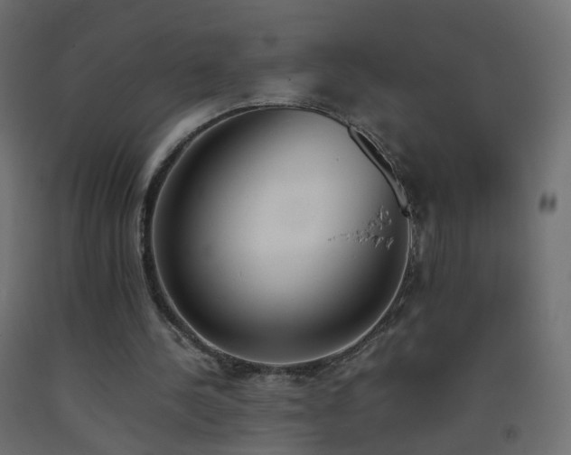 X0000093390244200710111520