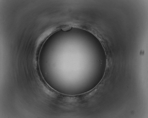 X0000093390245200710111520