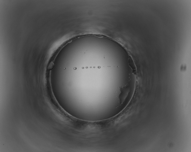 X0000093390248200710111520