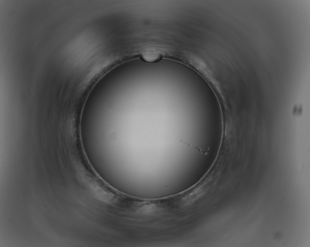 X0000093390249200710111520