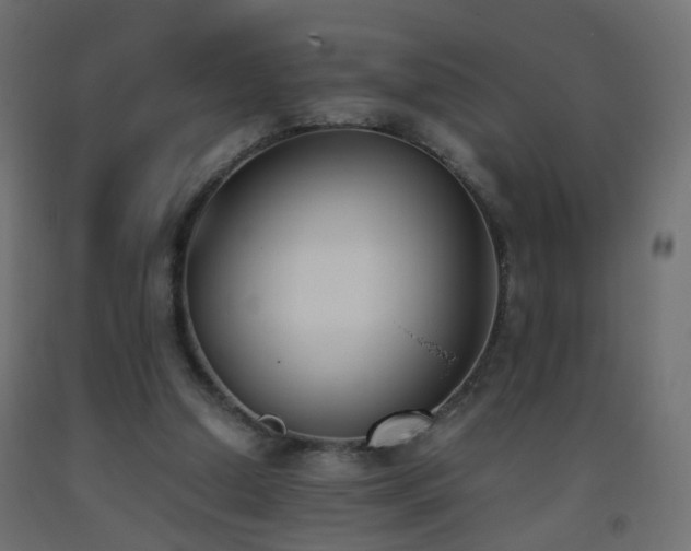 X0000093390250200710111520