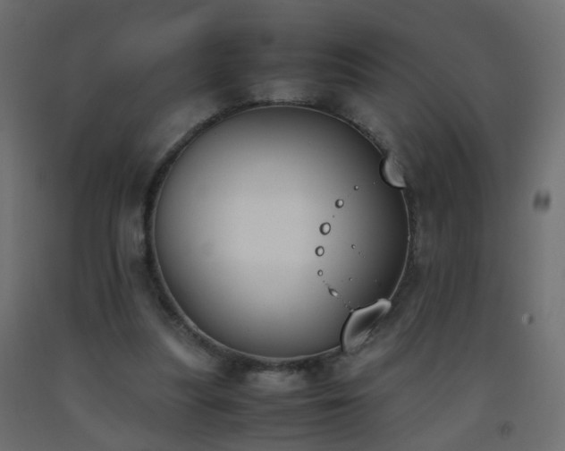 X0000093390251200710111520