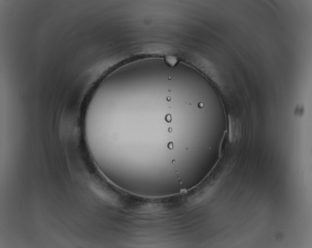 X0000093390252200710111520