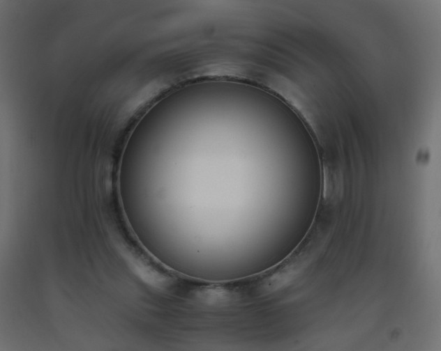 X0000093390253200710111520