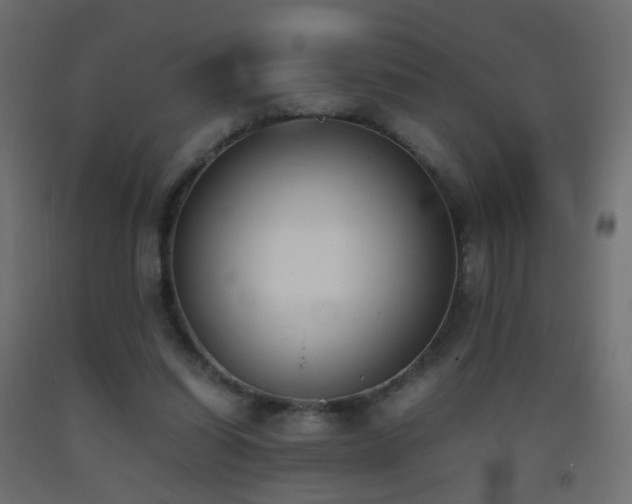 X0000093390254200710111520