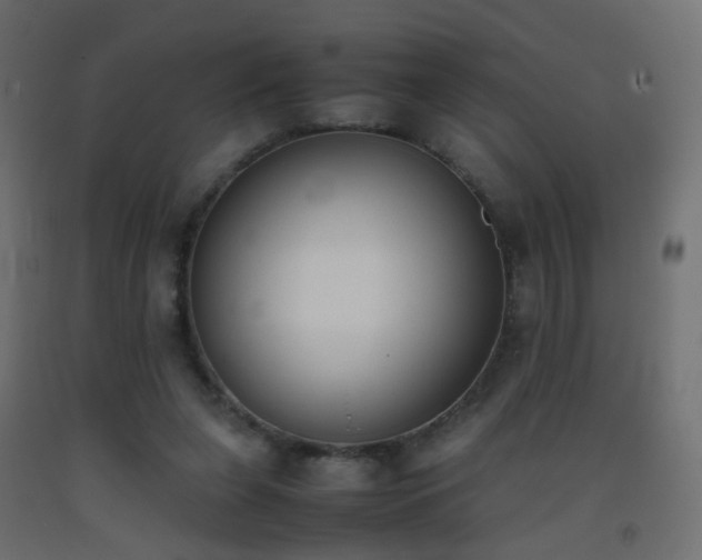 X0000093390255200710111520