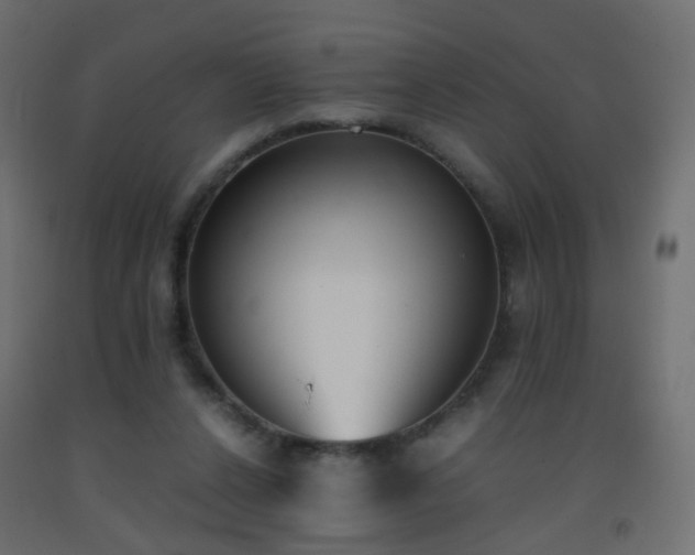 X0000093390256200710111520