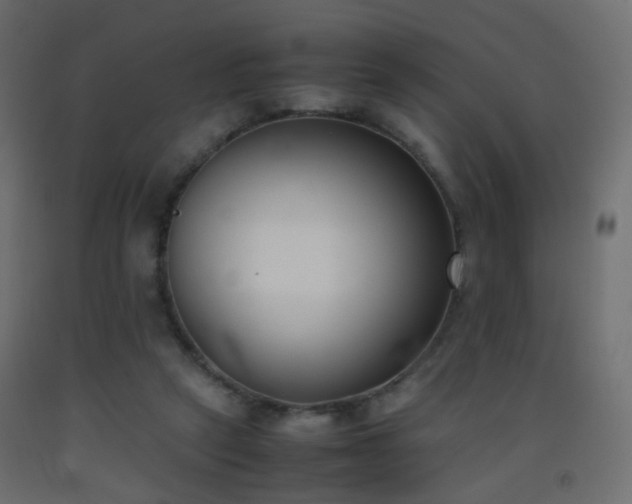 X0000093390257200710111520