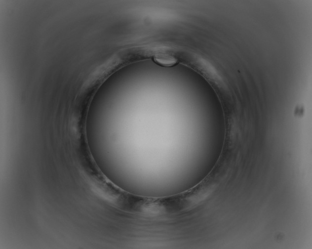 X0000093390258200710111520