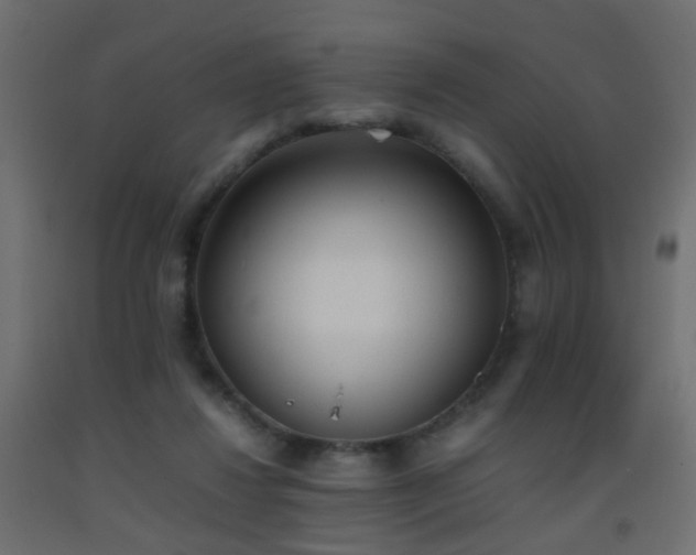 X0000093390260200710111521