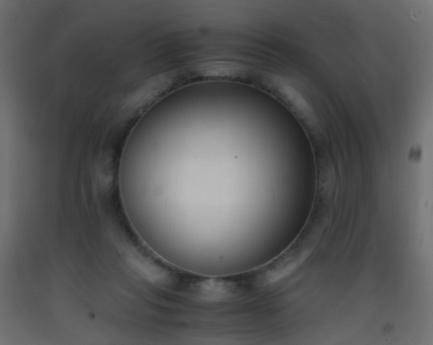 X0000093390261200710111521