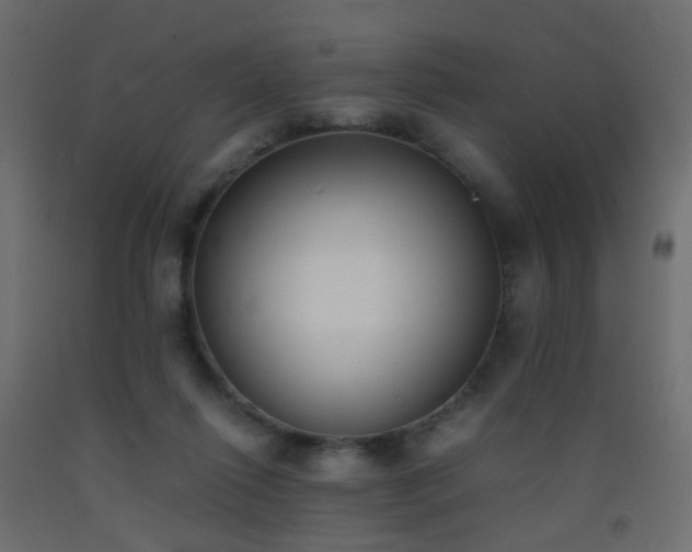 X0000093390262200710111521