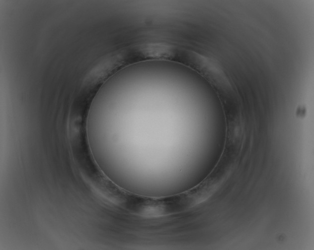 X0000093390263200710111521