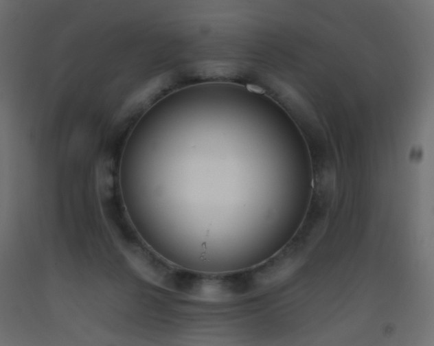 X0000093390264200710111521