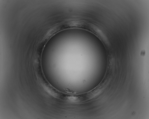 X0000093390265200710111521