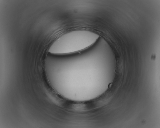 X0000093390266200710111521