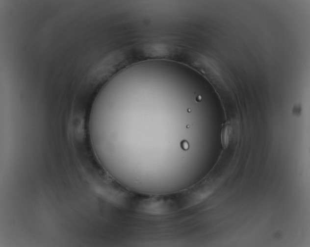 X0000093390267200710111521