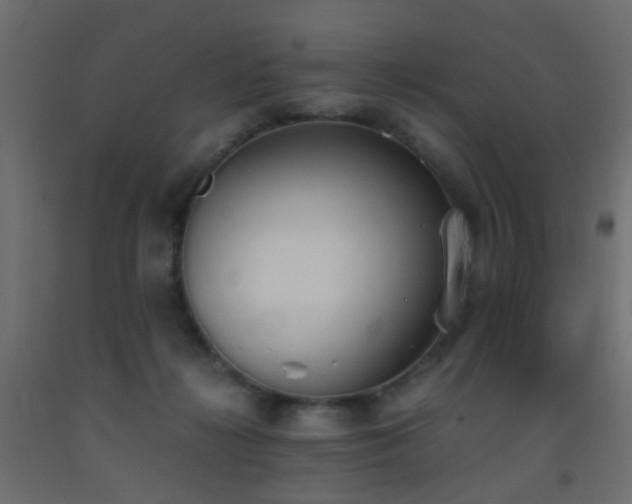 X0000093390268200710111521