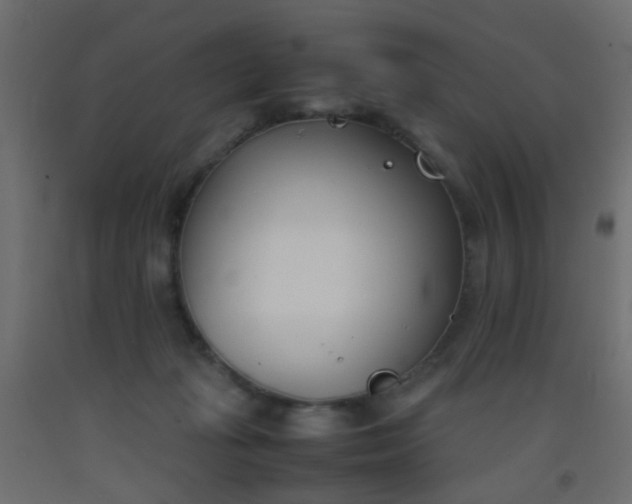 X0000093390269200710111521