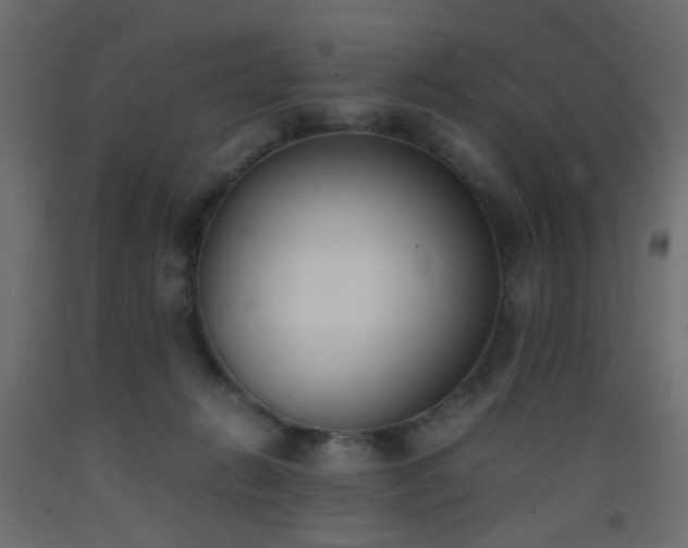 X0000093390270200710111521