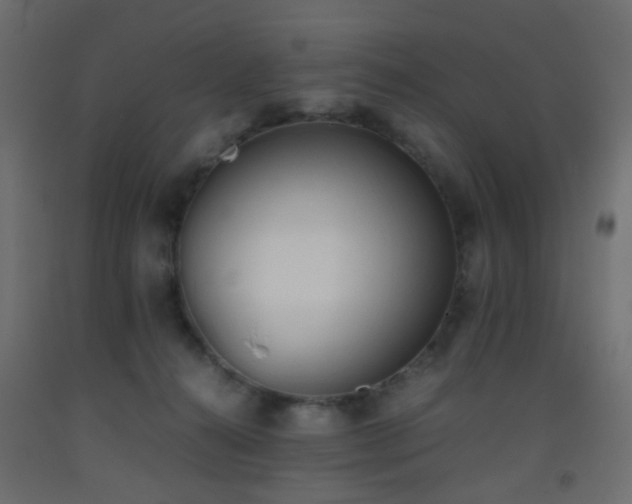 X0000093390272200710111521