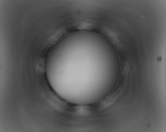 X0000093390273200710111521