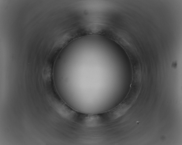 X0000093390274200710111521