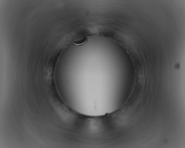 X0000093390275200710111521