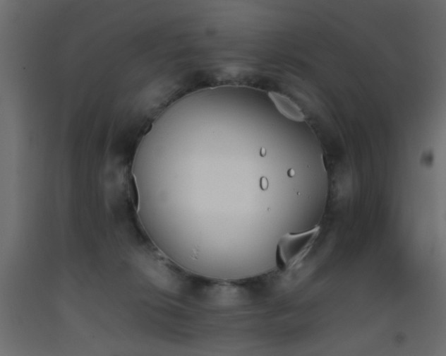 X0000093390276200710111521