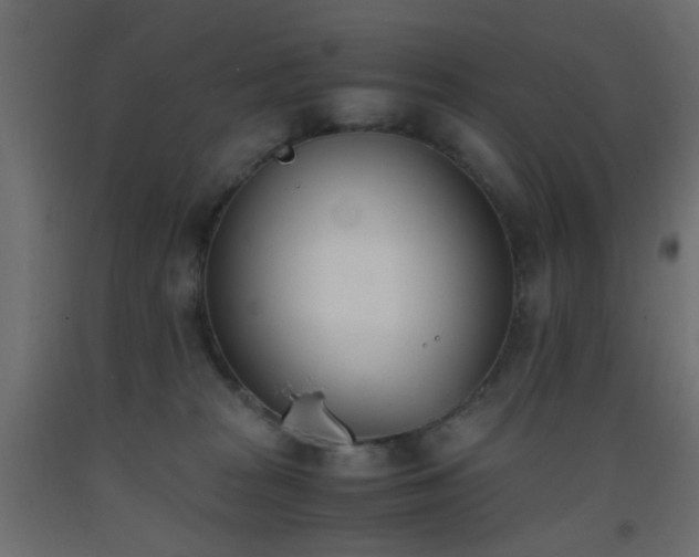 X0000093390277200710111521